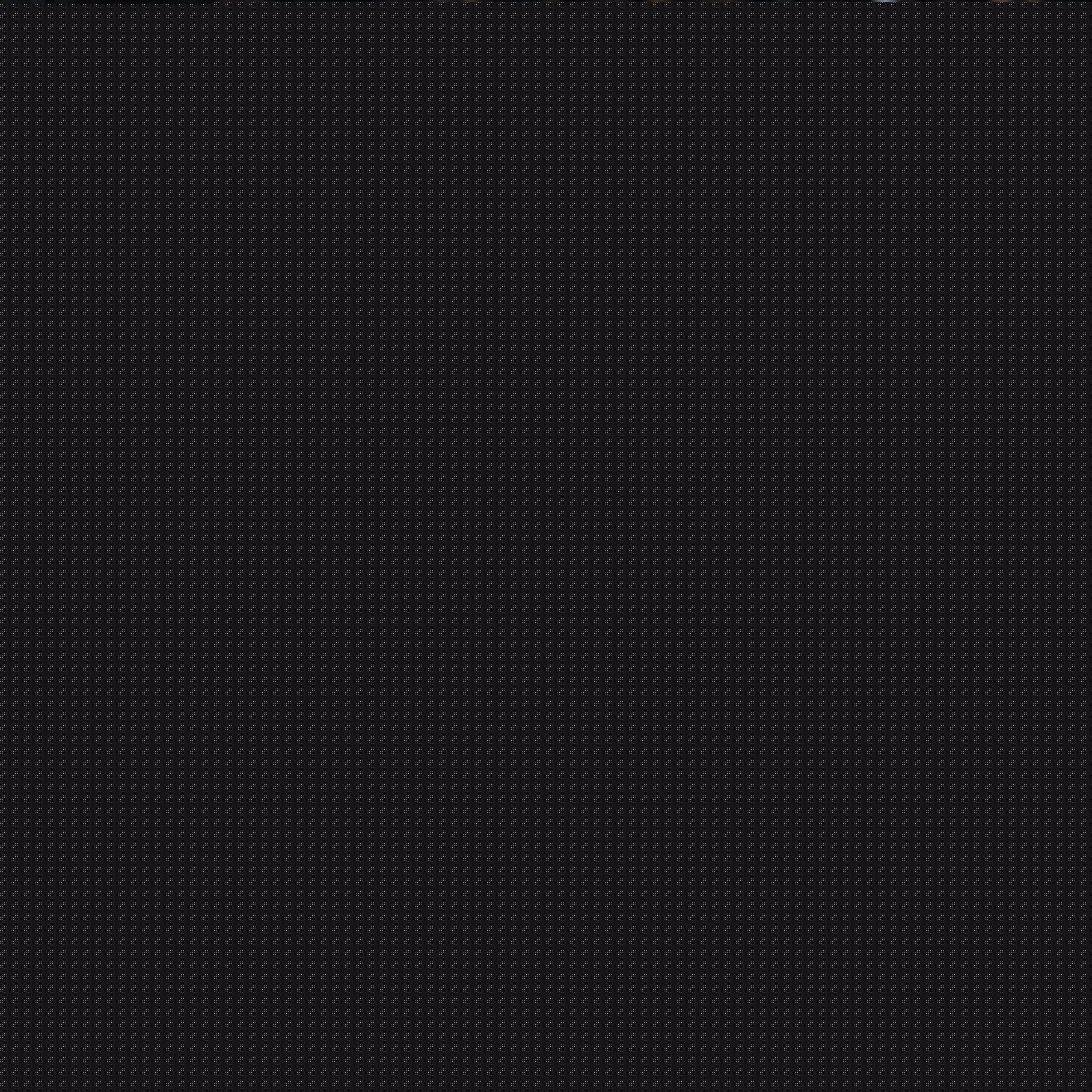 的球员阵容